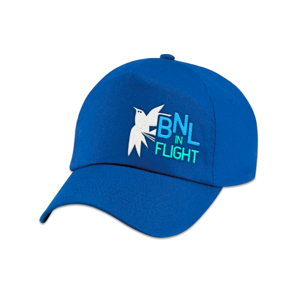 In Flight Bird Blue Cap | Barenaked Ladies USD