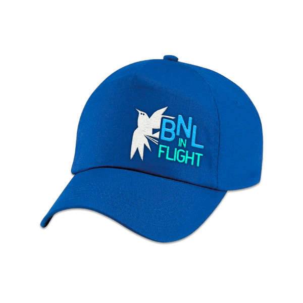 In Flight Bird Blue Cap